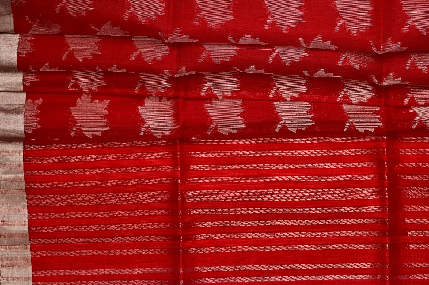 Kora Silk Kanjivaram № 01. translucent kora organza body with traditional Kanchi temple borders. Photographed at Trisha Silks Jubilee Hills.